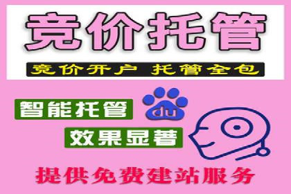 SEM推广竞价托管案例：提升品牌曝光度的秘诀